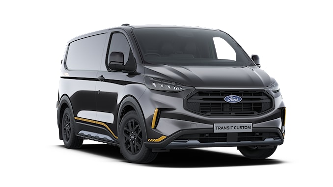 ford trail trim van